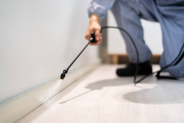 Licensed Wasp Removal service in L'Anse, MI - Show Me Pest Control