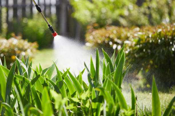 24/7 Emergency Wasp Removal experts in L'Anse, MI